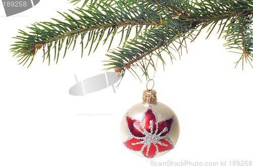 Image of Christmas tree