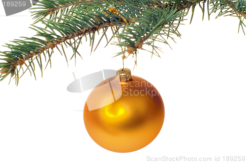 Image of Christmas tree