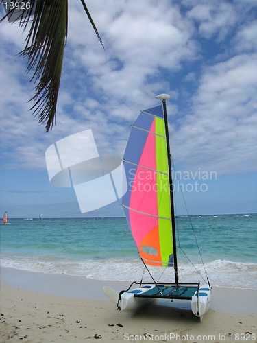 Image of Catamaran