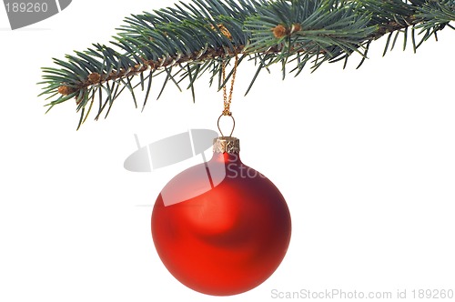 Image of Christmas decoration