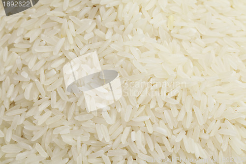 Image of Background of the raw rice