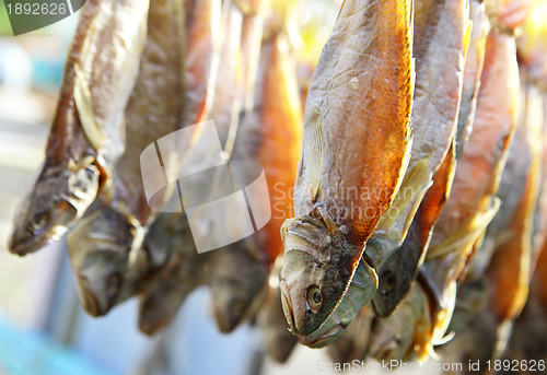 Image of Dried Fish