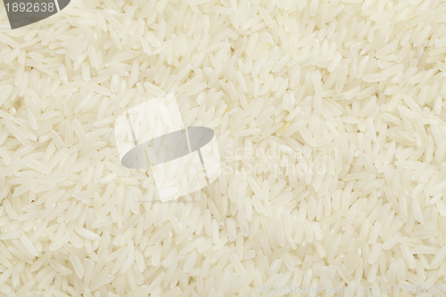 Image of Rice background