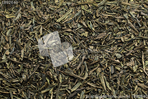 Image of Green tea background