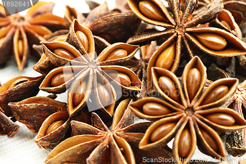 Image of Star Anise