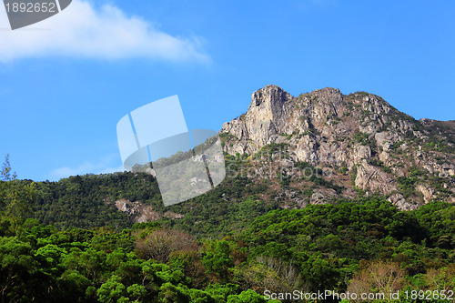 Image of Lion Rock