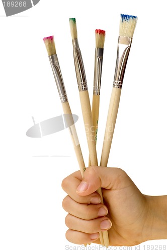 Image of Brushes