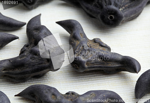 Image of Water Caltrop
