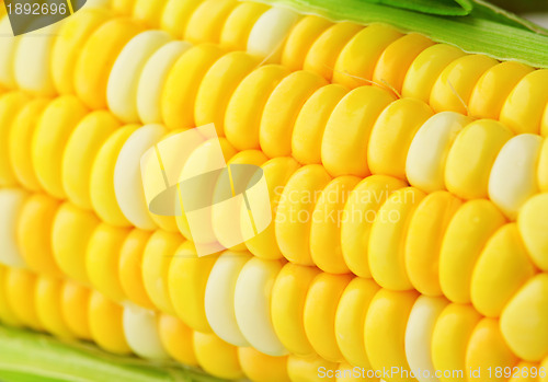 Image of corn cob