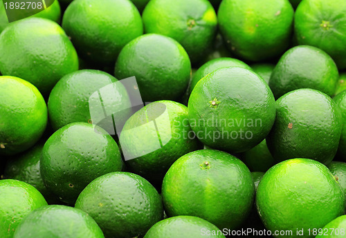 Image of citrus fruit