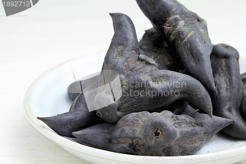 Image of Horn Shaped Water Caltrop