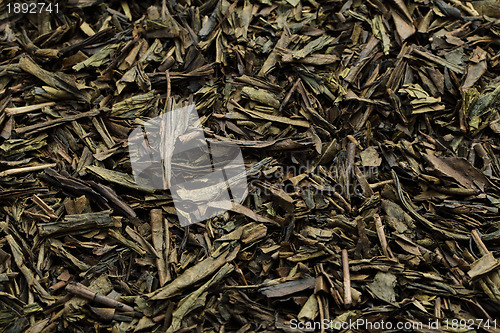 Image of Green tea background