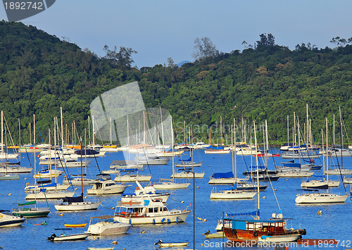 Image of Yachts bay