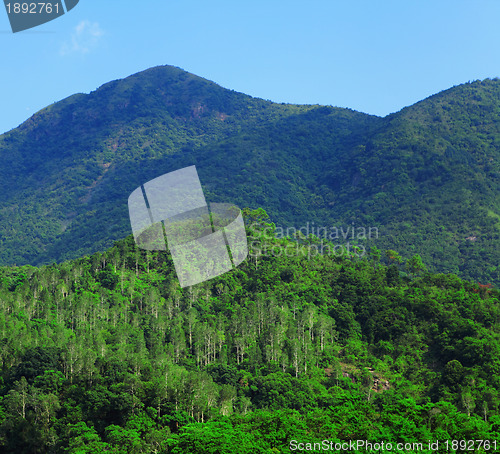 Image of green mountain landscape with trees