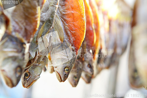 Image of dried salt fish