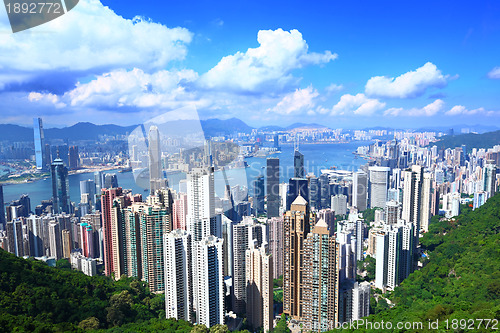 Image of Hong Kong from peak