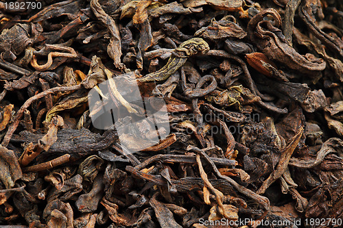 Image of Black tea loose dried tea leaves