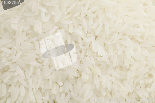 Image of Rice background