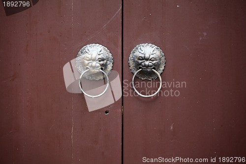 Image of lion door lock