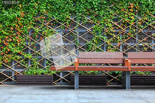 Image of bench in front of green hedge