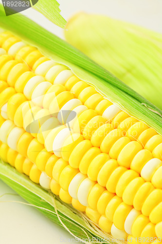 Image of corn cob