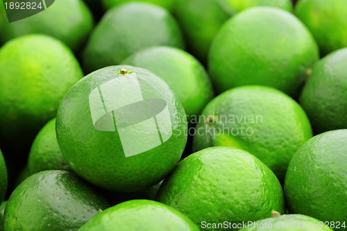 Image of lime citrus fruit