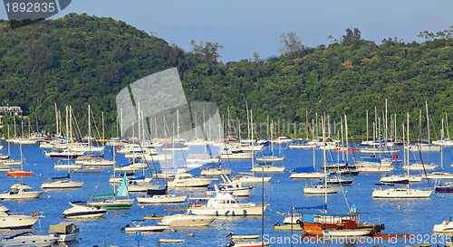 Image of Yachts in bay