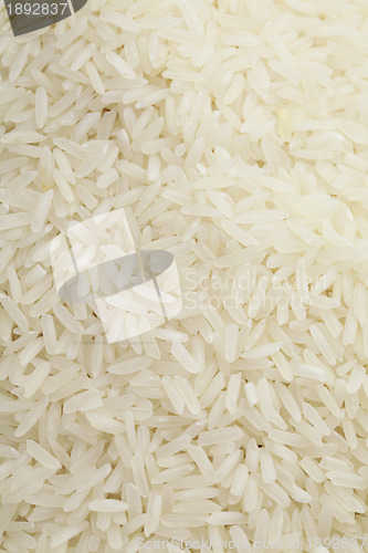 Image of Background of the raw rice