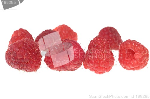 Image of Raspberry