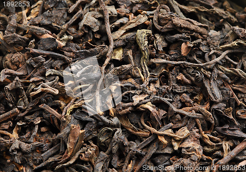 Image of black tea