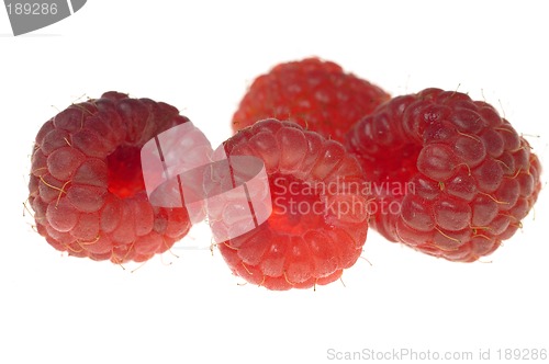 Image of Raspberry