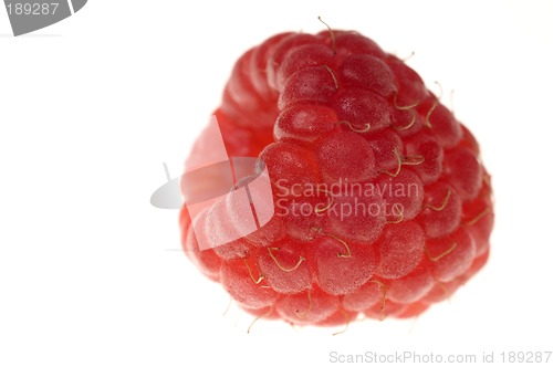 Image of Raspberry