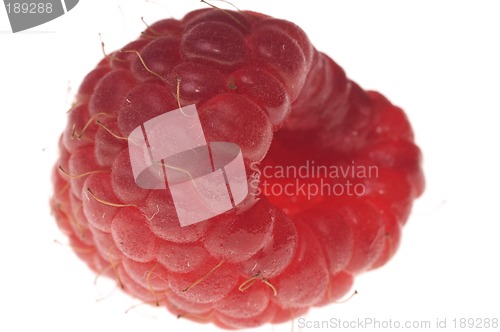 Image of Raspberry