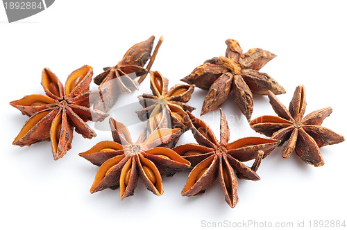 Image of Anise stars
