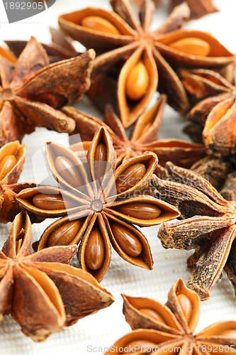 Image of Star anise