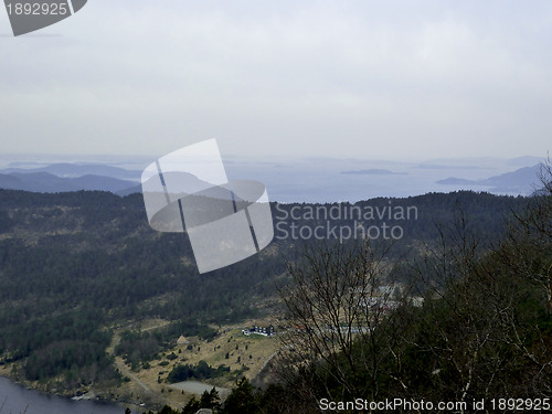 Image of view over conifer forest in norway