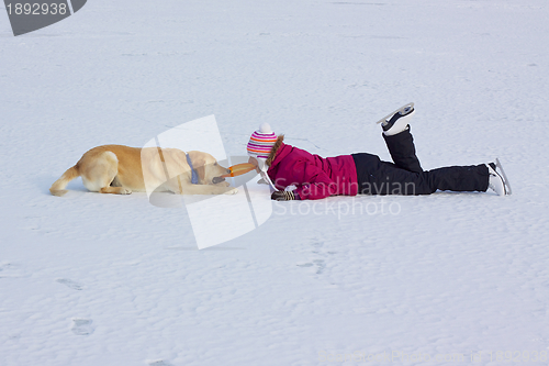 Image of Playing with dog in winter