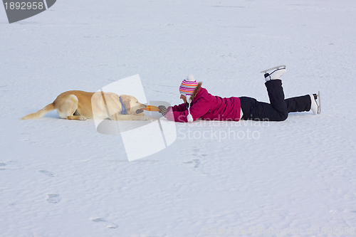 Image of Girl playing with dog