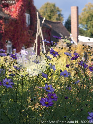 Image of Garden