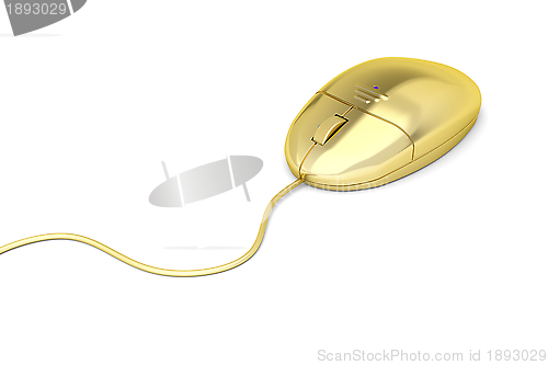 Image of Golden mouse