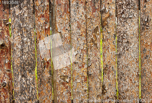 Image of Fence from slab pines