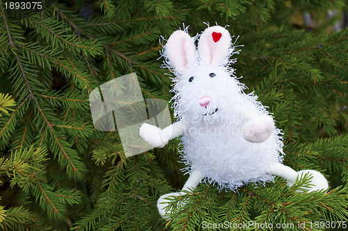 Image of Toy rabbit