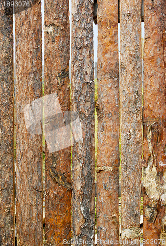 Image of Fence from slab pines