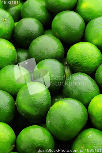 Image of lime citrus fruit