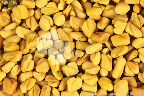 Image of Fenugreek seeds