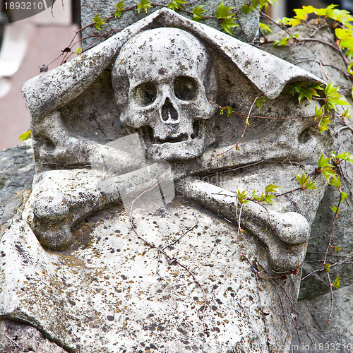 Image of Cemetery architecture - Europe