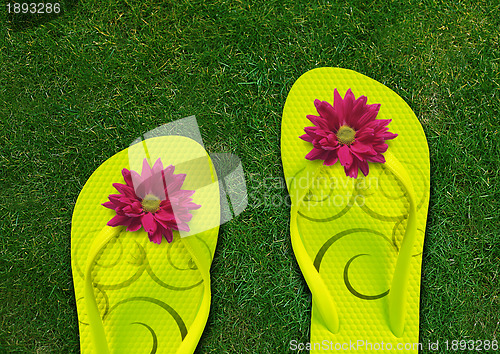 Image of Colorful Flip Flops 