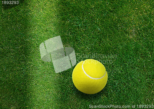 Image of tennis ball