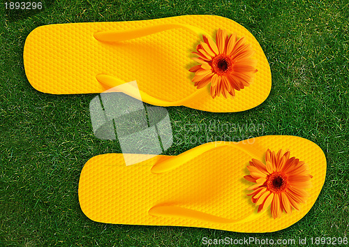 Image of Colorful Flip Flops