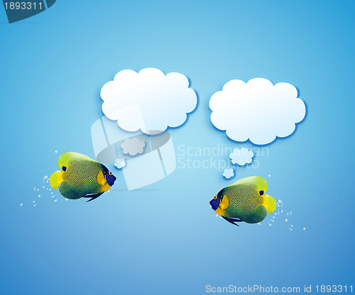 Image of angelfish with speech bubbles. 